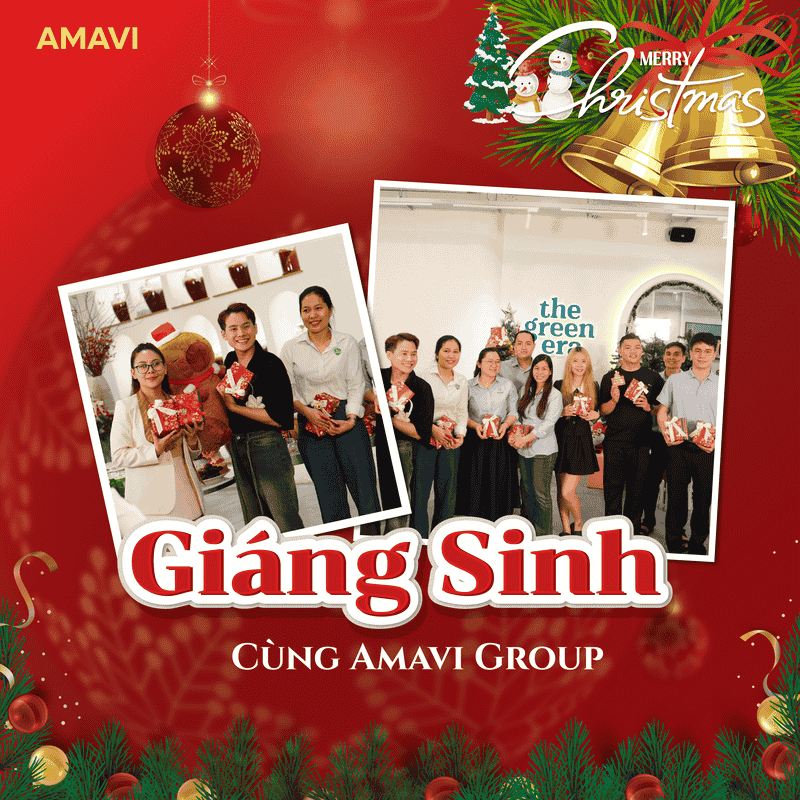ĐÓN GIÁNG SINH TẠI AMAVI GROUP